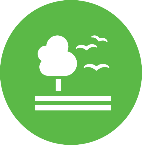 Vida Terrestre Icon